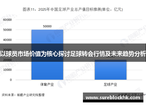 以球员市场价值为核心探讨足球转会行情及未来趋势分析