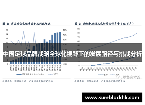 中国足球品牌战略全球化视野下的发展路径与挑战分析