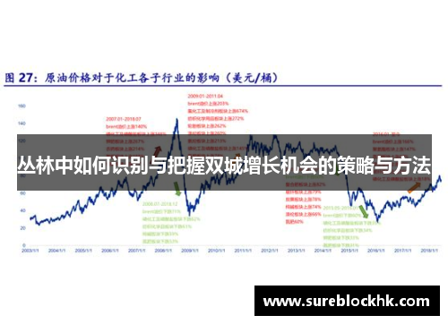 丛林中如何识别与把握双城增长机会的策略与方法