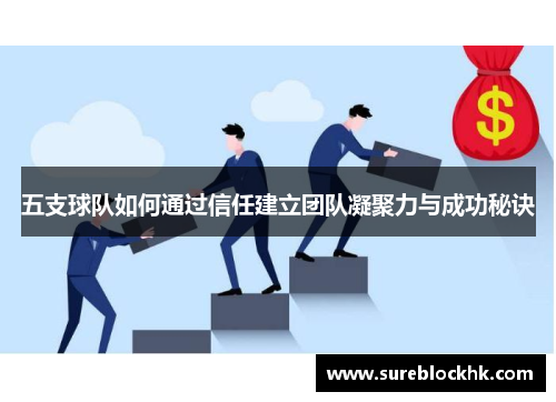 五支球队如何通过信任建立团队凝聚力与成功秘诀