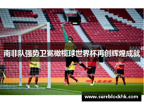 南非队强势卫冕橄榄球世界杯再创辉煌成就