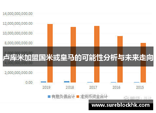卢库米加盟国米或皇马的可能性分析与未来走向