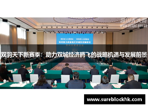 双羽天下新赛季：助力双城经济腾飞的战略机遇与发展前景