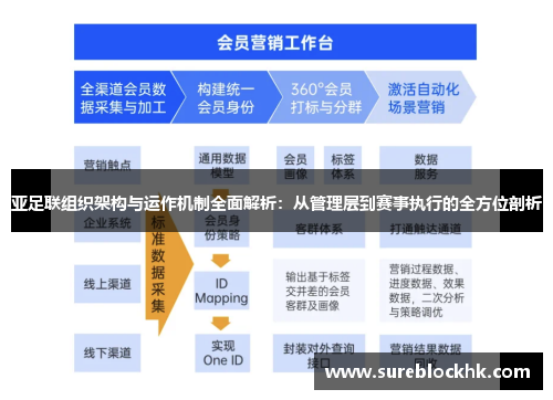亚足联组织架构与运作机制全面解析：从管理层到赛事执行的全方位剖析