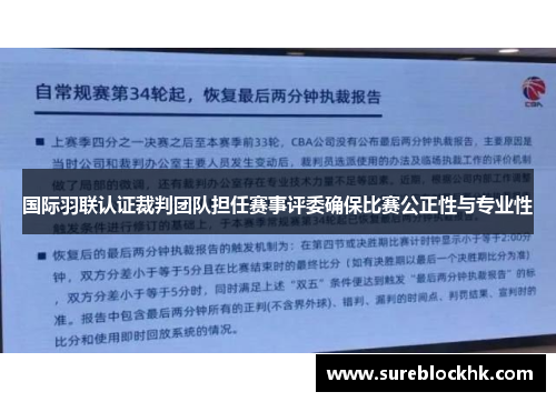 国际羽联认证裁判团队担任赛事评委确保比赛公正性与专业性