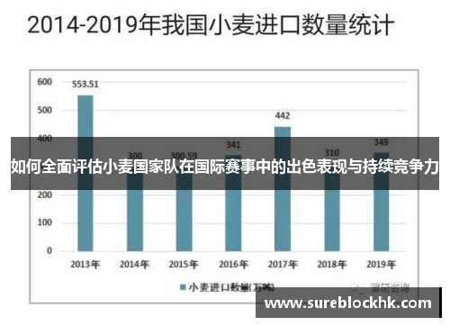 如何全面评估小麦国家队在国际赛事中的出色表现与持续竞争力