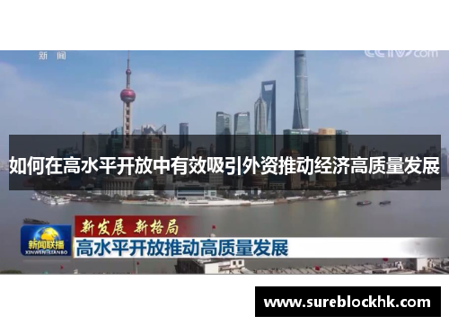 如何在高水平开放中有效吸引外资推动经济高质量发展